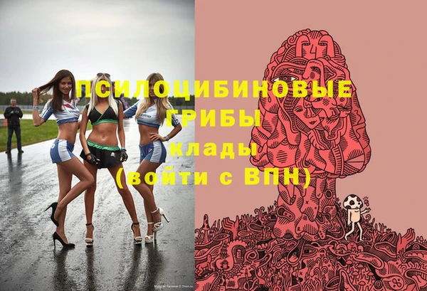 твердый Балахна
