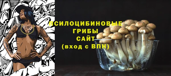 дмт Аркадак