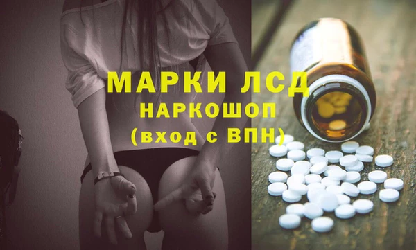 спайс Арсеньев
