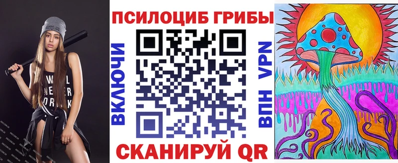 Галлюциногенные грибы Psilocybine cubensis  мега ссылки  Зима 