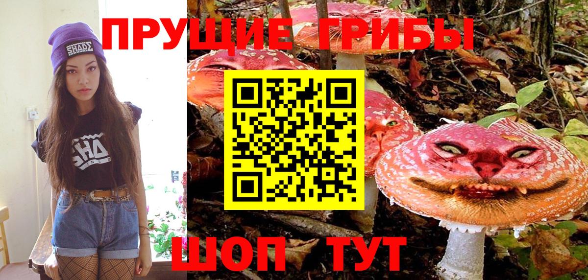 купить закладку  Псилоцибиновые грибы MAGIC MUSHROOMS  Зима  Вход с VPN  Псилоцибиновые грибы мицелий 