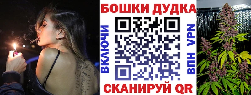 Шишки марихуана сатива  Зима 